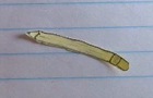 The Interesting Little Pencil