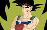 Bardock VS Turles test (UNFINISHED)