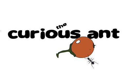 The curious ant