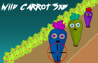 Wild Carrot 3xb