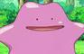 DITTO can transform into ANY pokemon.