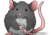 Ratos / Rats