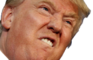 WHACK A MOLE TRUMP