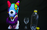 Inconvenient drinking horn [Stopmotion]