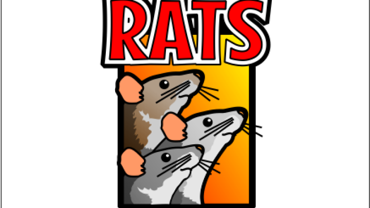 Rats Newgrounds
