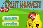 Fruit harvest
