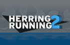 Herring Running 2