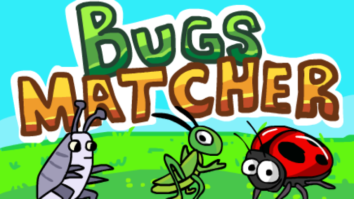 Bugs Matcher