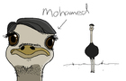 Mohammed Ostrich
