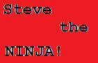 Steve the NINJA! (Demo)