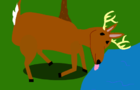 Incident Of The Deer