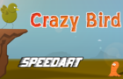 Crazy Bird | Speed Art Illustration