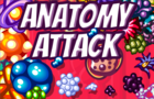 Anatomy Attack