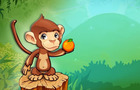 Fruit Monkey Fun