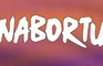 Nabortu
