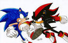 Sonic Vs Shadow