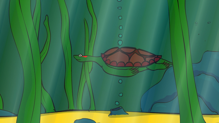 Swimming Turtle step by step