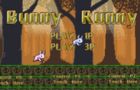 Bunny Runny (C3JAM)