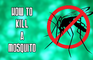 How To Kill a Mosquito