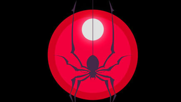 Overwatch - Spider's web