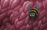 Pest Control