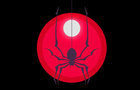 Overwatch Spider's web 13+