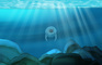 The Manatee