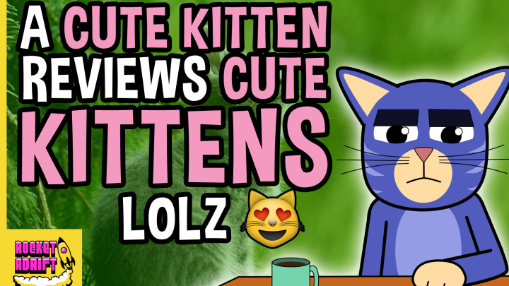 Cute Kitten Reviews Cute Kittens
