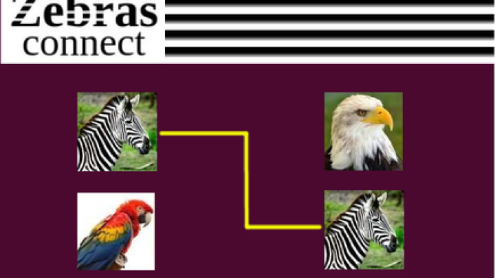Zebras Connect