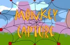 Monkey Capture