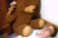 Steel Bear 2