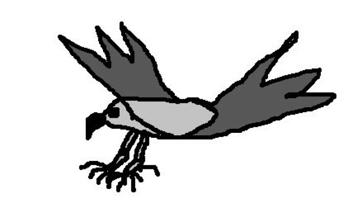 Hawk Catching Pray Animated Movie by ZW