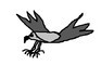 Hawk Catching Pray Animated Movie by ZW