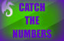 Catch The Numbers!