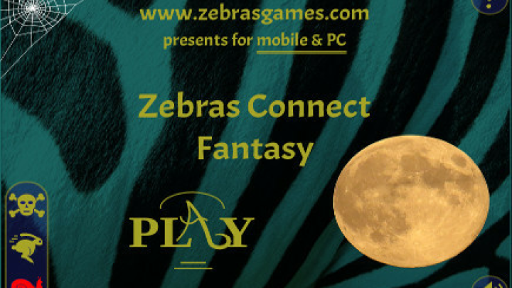 Zebras Connect Fantasy