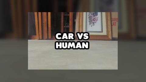 Car Vs Human