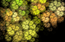Awakening Fractal Animation