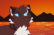 Sunset: Brambleclaw vs Hawkfrost