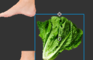 Burger King Foot Lettuce
