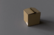 Kiwi in a box