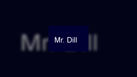 Mr. Dill Goes to the Laundomat