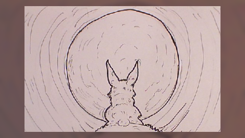~Moon Bunny~ [Traditional Animation]
