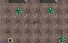 Age of the Ants