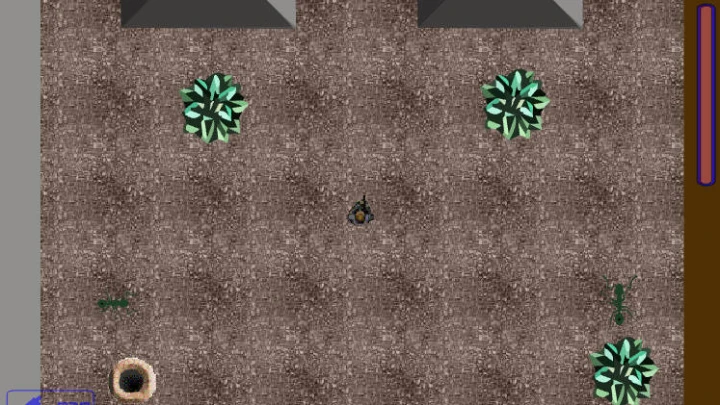 Age of the Ants