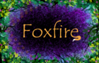 Foxfire