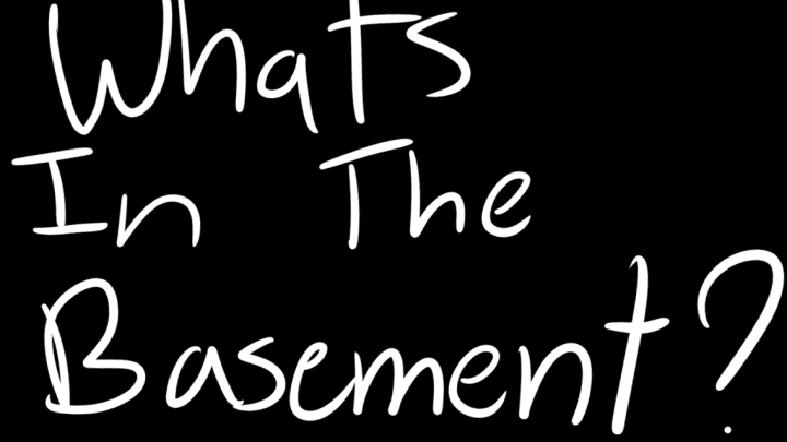 What's In The Basement?