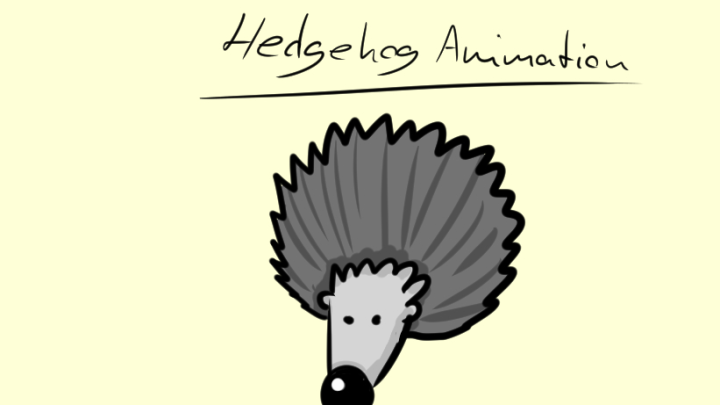 Hedgehog on the road