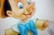 practice animation-Honest John meets Pinocchio