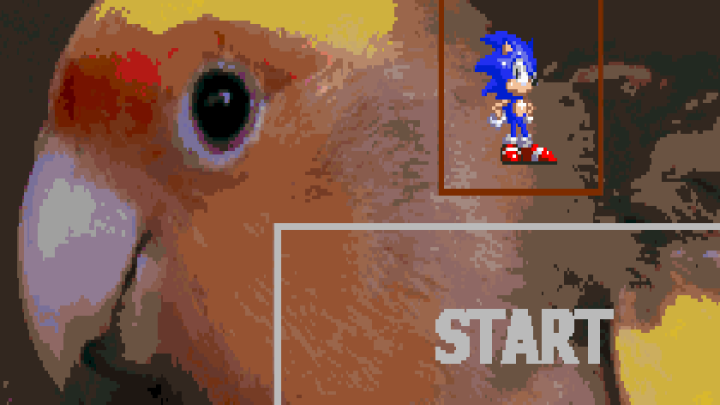 Sonic Adventures Through Bad