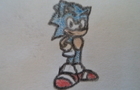 A Sonic Photo Animation
